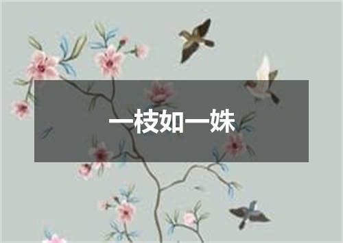 一枝如一姝
