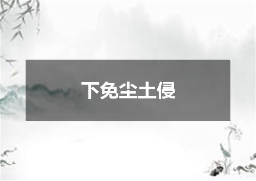 下免尘土侵