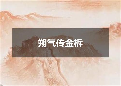 朔气传金柝