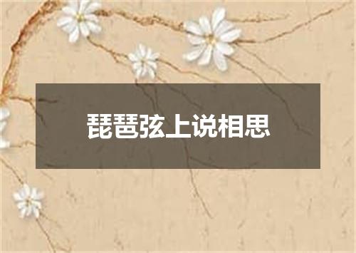 琵琶弦上说相思