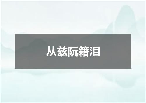 从兹阮籍泪