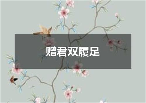 赠君双履足