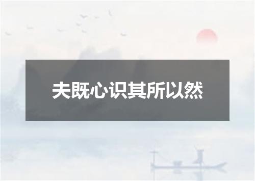夫既心识其所以然