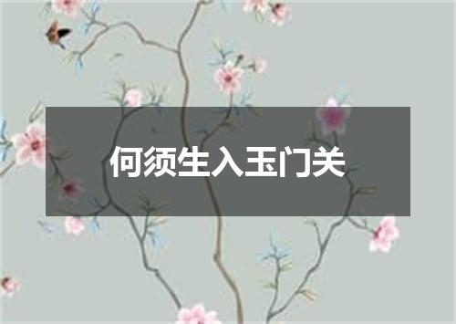 何须生入玉门关