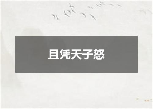 且凭天子怒