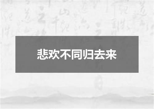 悲欢不同归去来