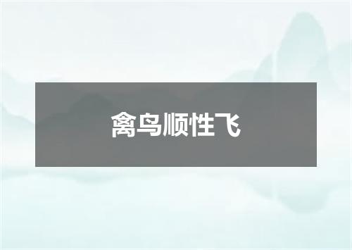禽鸟顺性飞