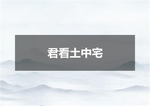 君看土中宅