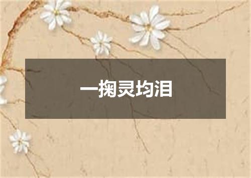 一掬灵均泪