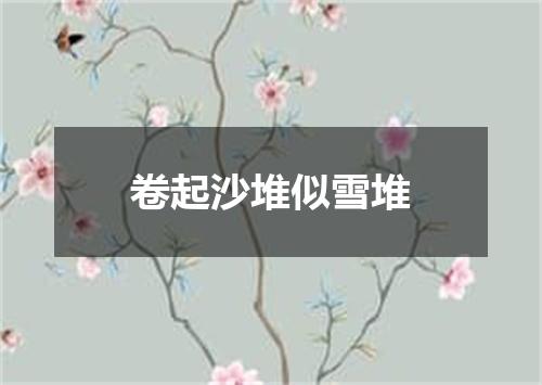 卷起沙堆似雪堆