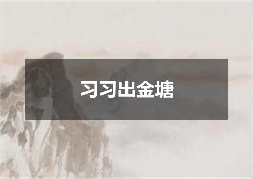 习习出金塘