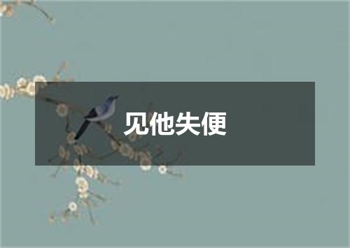 见他失便