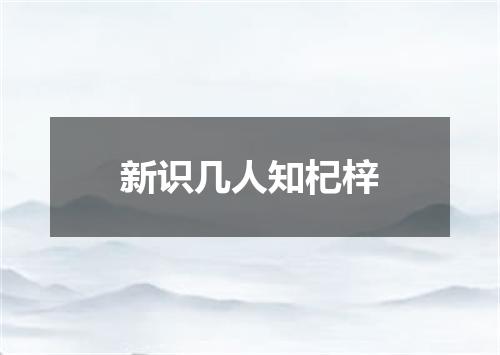 新识几人知杞梓
