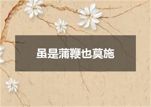 虽是蒲鞭也莫施