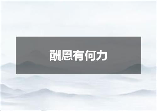 酬恩有何力