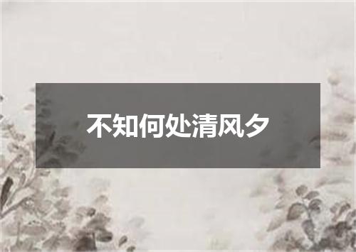不知何处清风夕