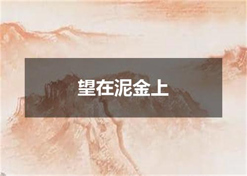 望在泥金上