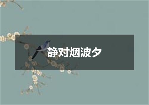 静对烟波夕