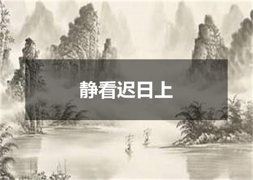 静看迟日上