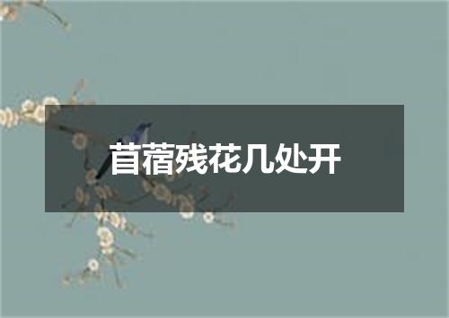 苜蓿残花几处开