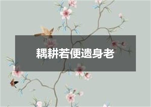 耦耕若便遗身老