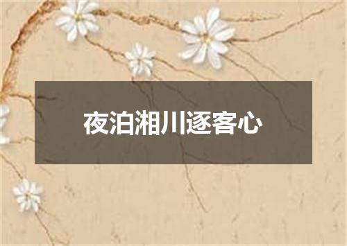 夜泊湘川逐客心