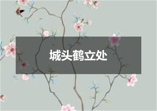 城头鹤立处