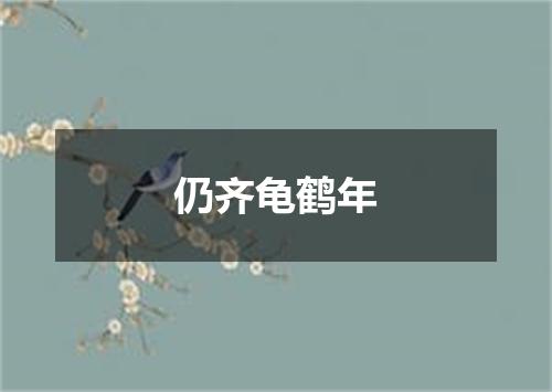 仍齐龟鹤年