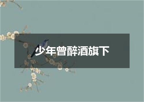 少年曾醉酒旗下