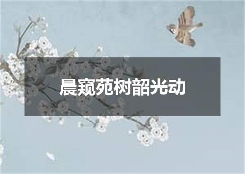 晨窥苑树韶光动