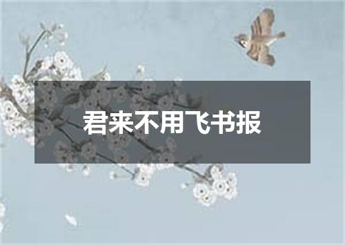 君来不用飞书报