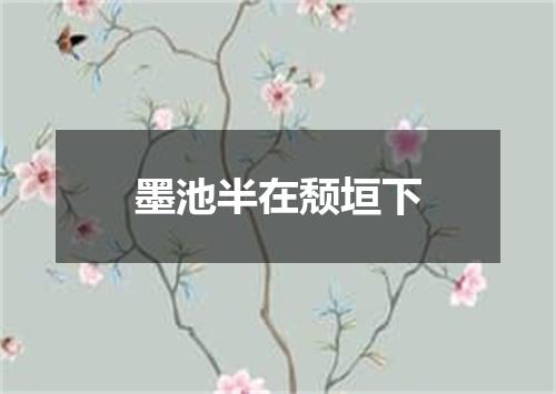 墨池半在颓垣下