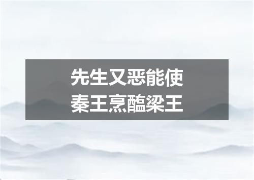 先生又恶能使秦王烹醢梁王