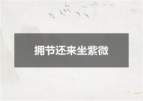 拥节还来坐紫微