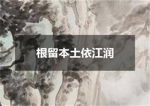 根留本土依江润