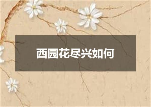 西园花尽兴如何