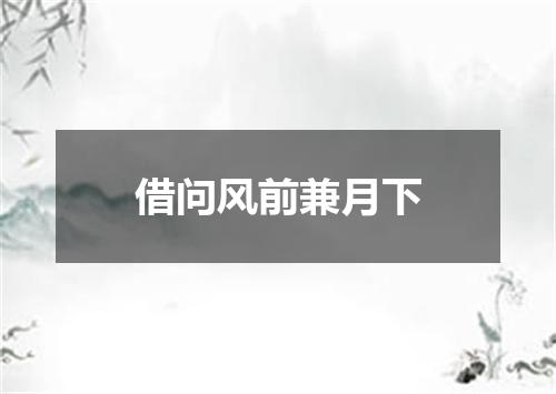 借问风前兼月下