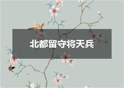 北都留守将天兵