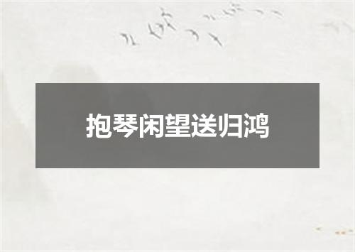 抱琴闲望送归鸿