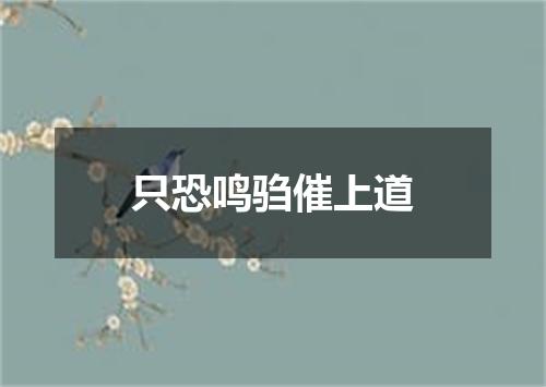 只恐鸣驺催上道