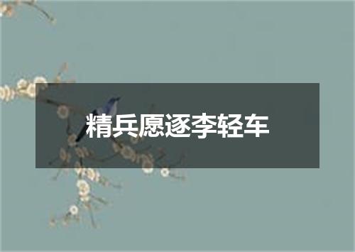 精兵愿逐李轻车