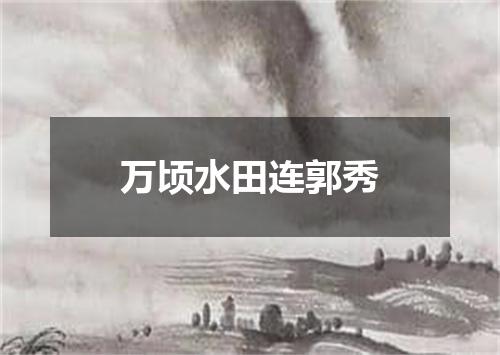 万顷水田连郭秀