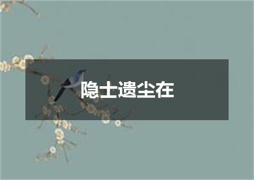 隐士遗尘在