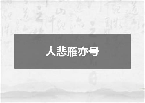 人悲雁亦号