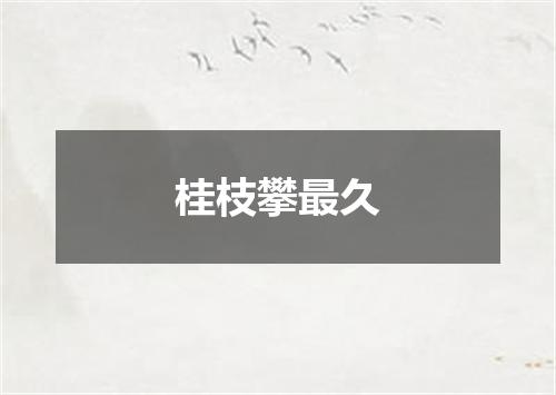 桂枝攀最久
