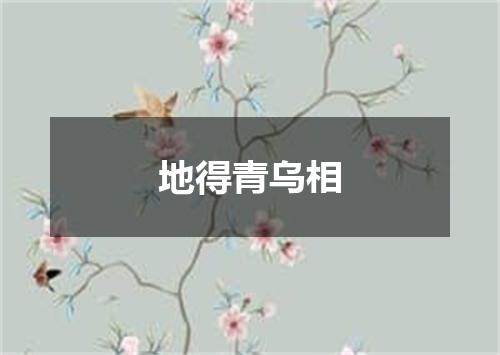 地得青乌相