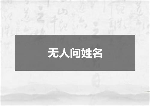 无人问姓名