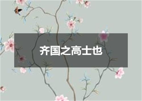 齐国之高士也