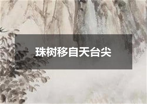 珠树移自天台尖