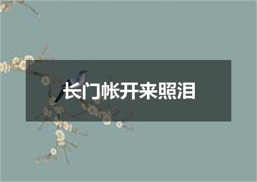 长门帐开来照泪